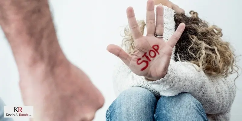 best lake city domestic violence defense attorney